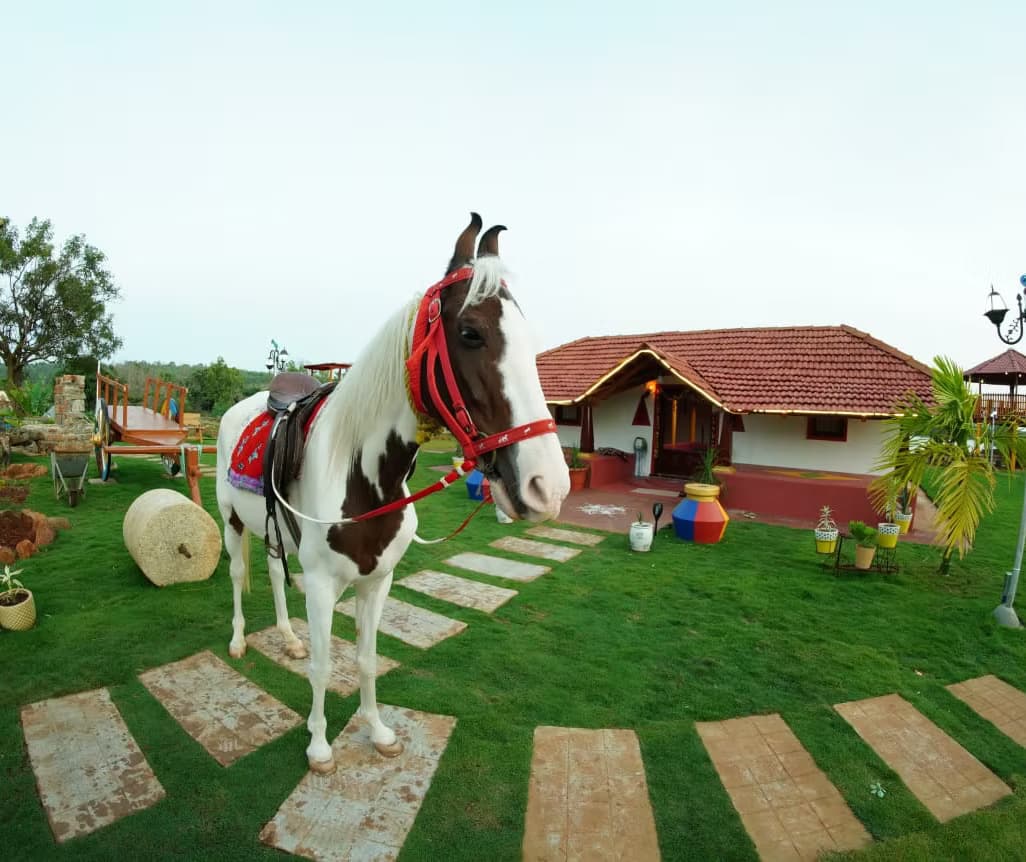 A saddled horse standing beside a farmhouse cottage at dusk